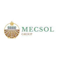 mecsol@2x